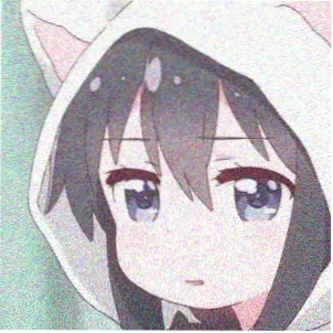 观众木木的头像